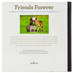 Hallmark Friends Forever: 42 Ways To Celebrate Love, Loyalty And Togetherness Book -Tomy Store 0001BOK1438 3