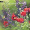 2024 Lang Wall Calendar Hummingbirds