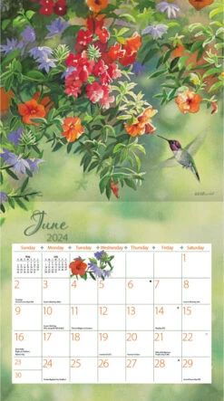 2024 Lang Wall Calendar Hummingbirds -Tomy Store 24991001918 3