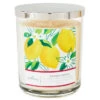 Hallmark Lemon Grove 3-Wick Jar Candle 16 Oz.